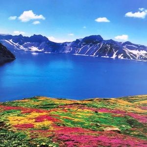 Meet your Posher, Tamara